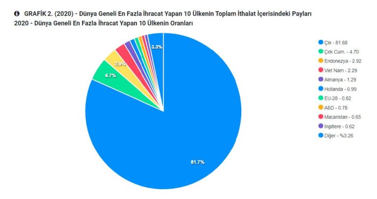raporinceleme13